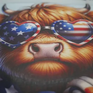 Custom DTF Heat Transfers